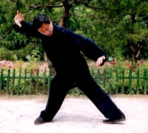 Descending Dragon - Yiquan. Tai Chi for Everybody