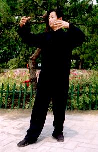 Hun Yuan Zhuang - Yiquan. Tai Chi for Everybody